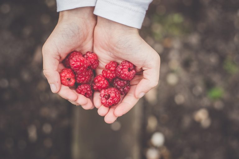 Fueling Happiness: How Nutrition Boosts Mood & Reduces Stress