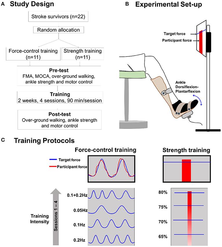 Harnessing Control: Techniques for Improved Precision and Stability