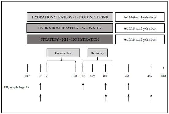 Customizing Your Hydration Strategy for Different Workouts