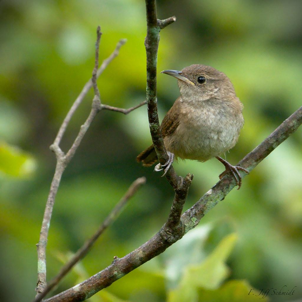 How to Make Stretching Part of Your Daily Fitness Routine 2 Morning Rituals to Evening Wind-Down Integrating Stretching Throughout the Day
