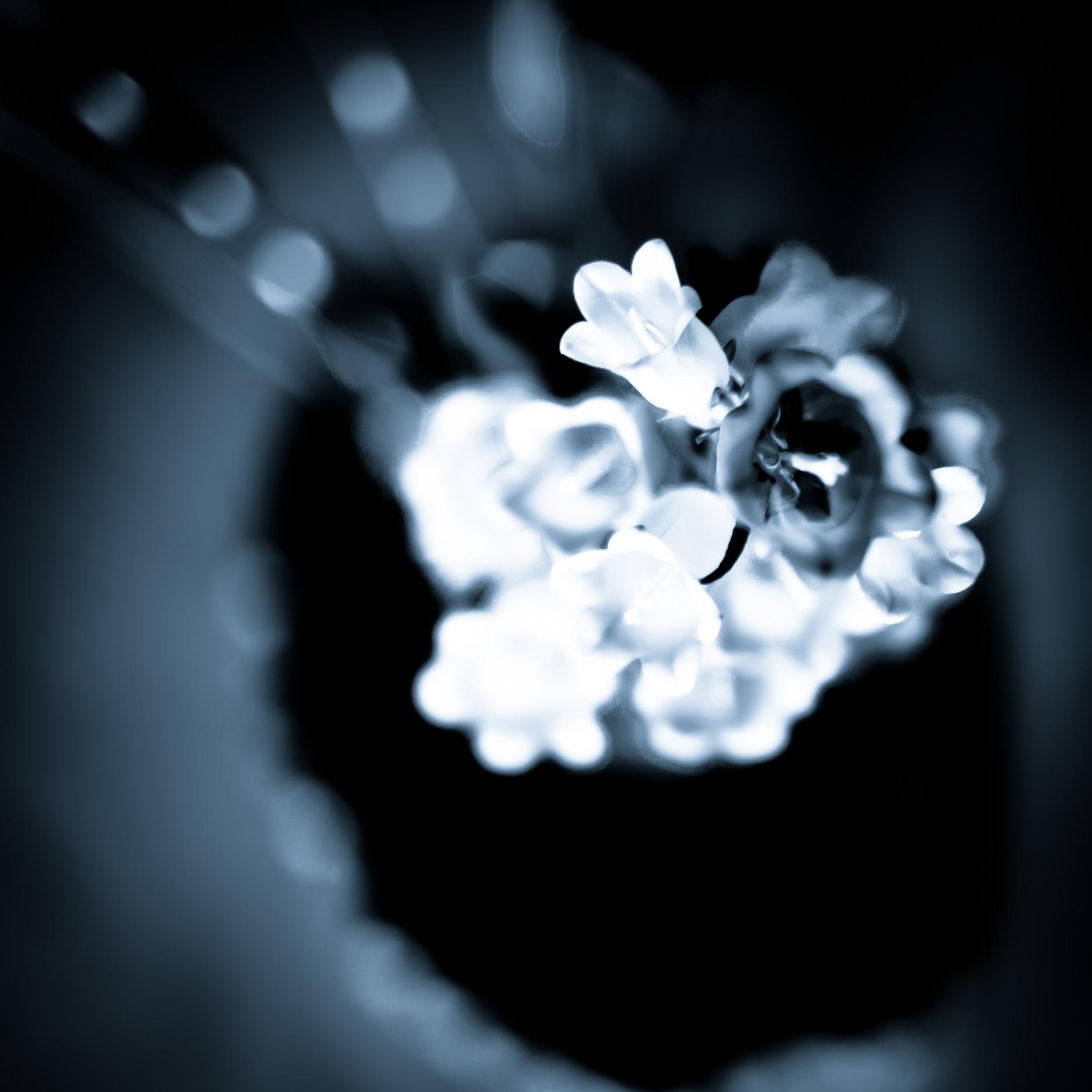 Harnessing the Power of Self-Compassion and <a href=