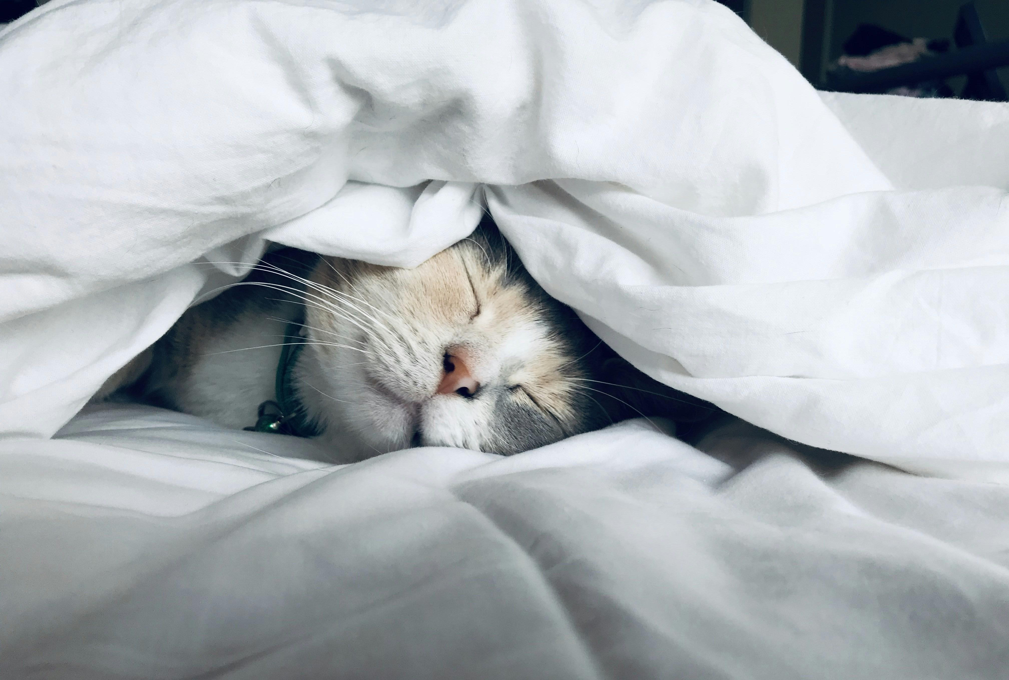 Restorative Sleep to Rebalance Energy