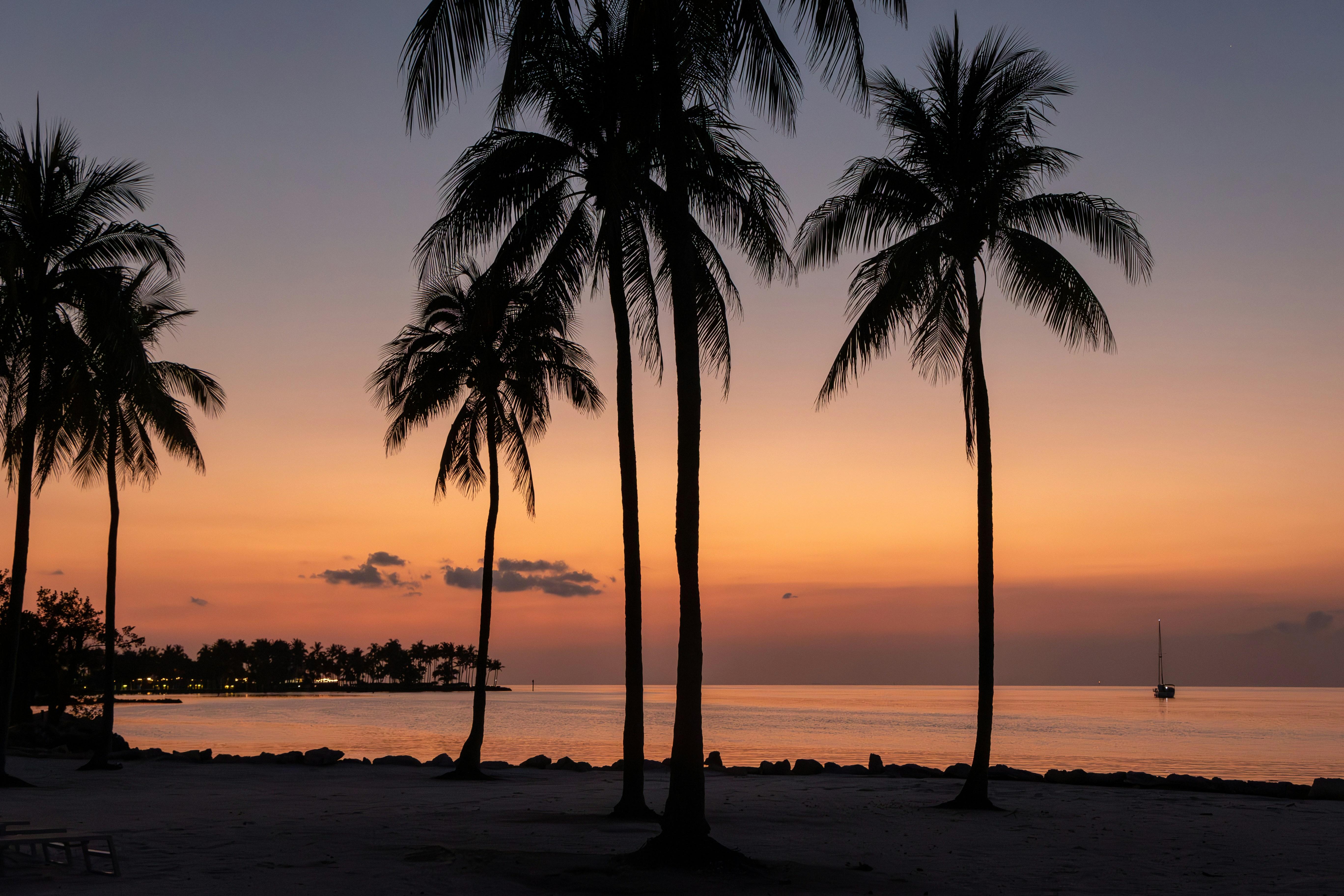 Are Energy Gels and Drinks Necessary for Marathon Training 3 Tailoring Your Marathon Fueling Strategy for Maximum Benefits