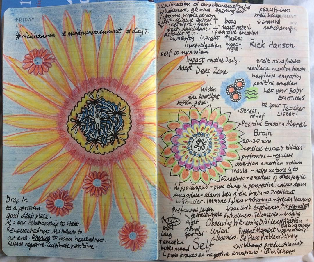 The science behind mindfulness for mental clarity 1 Understanding the Neuroscience of Mindfulness