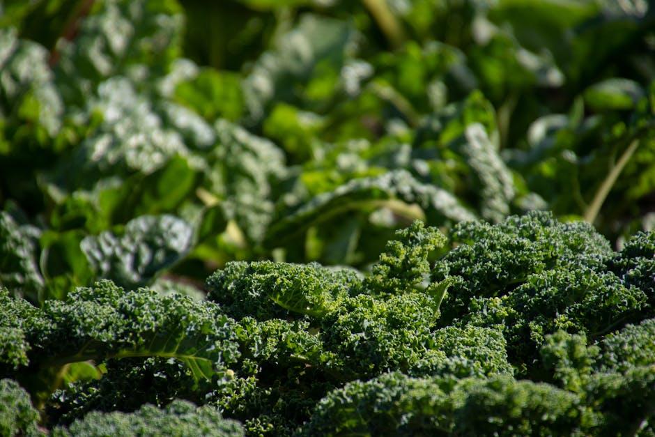 Making ‍the Switch: Practical Tips for Incorporating Organic ‍Foods