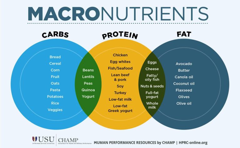 How to Balance Macros for Better Fitness Outcomes