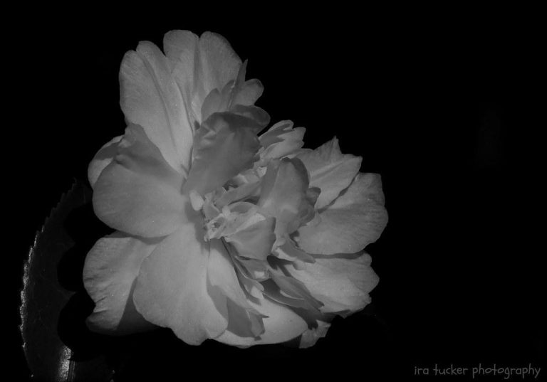 The Science Behind Functional Fitness and Why It Matters