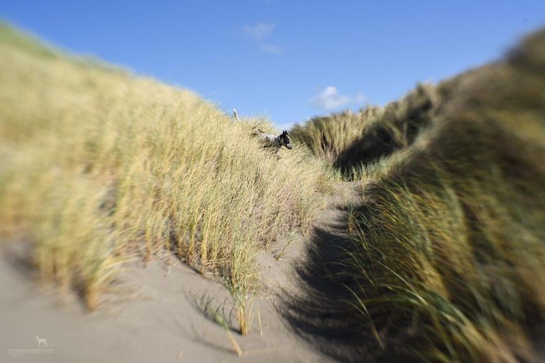 The Science Behind Intermittent Fasting and Its Effectiveness