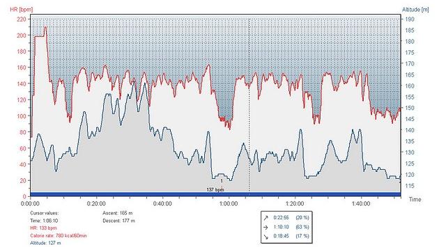How to Track Your Heart Rate for Maximum Cardio Efficiency
