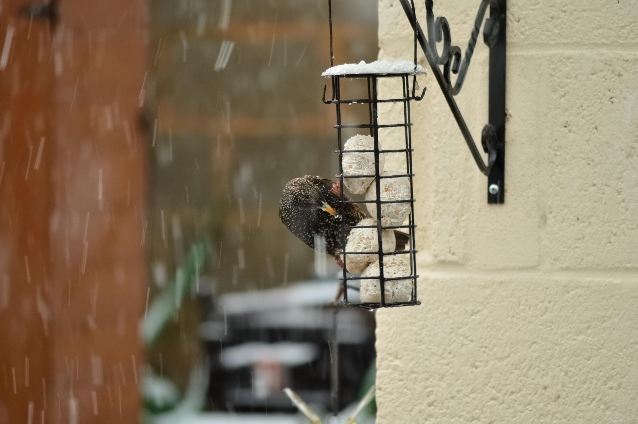 Simple Ways to Boost Energy Before and During Workouts