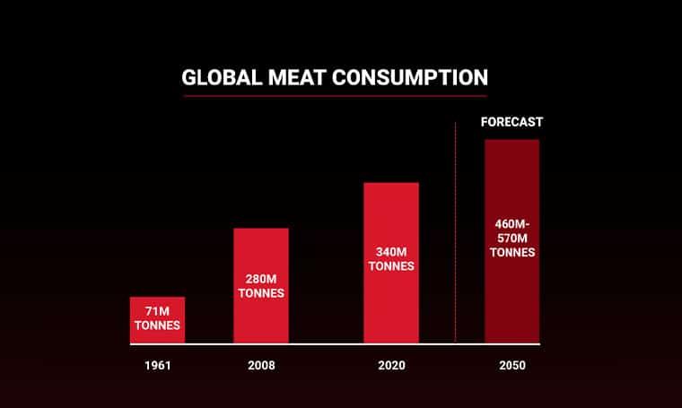 Practical Tips for Moderating Red Meat Consumption