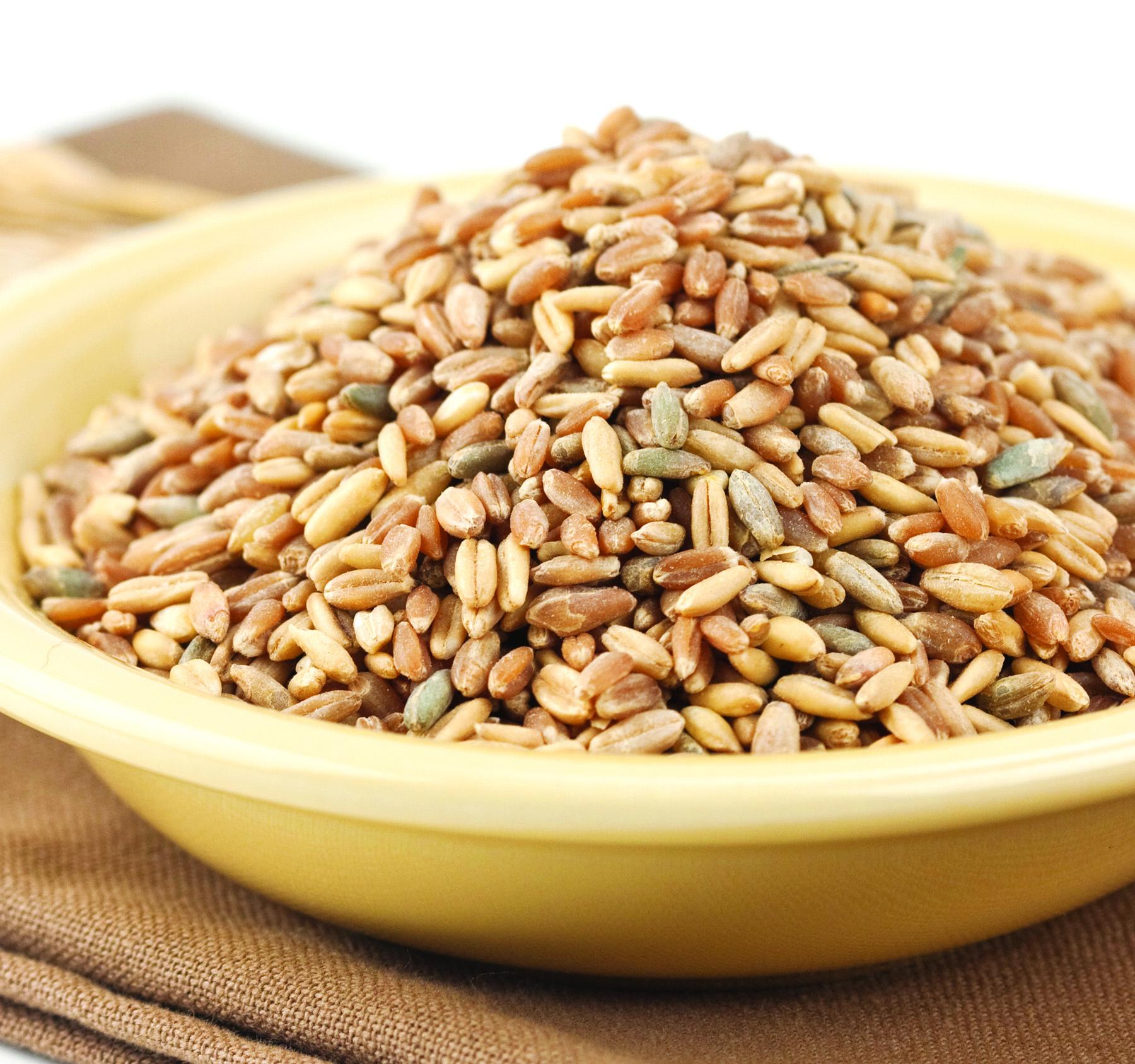 Are Whole Grains Necessary for High-Performance Diets