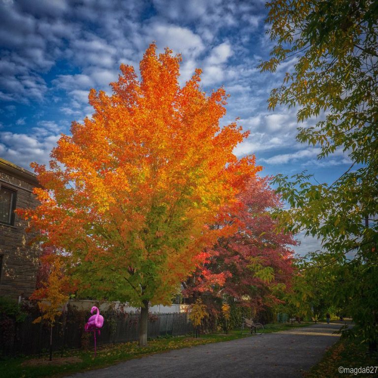 Should Alcohol Be Completely Avoided by Fitness Enthusiasts