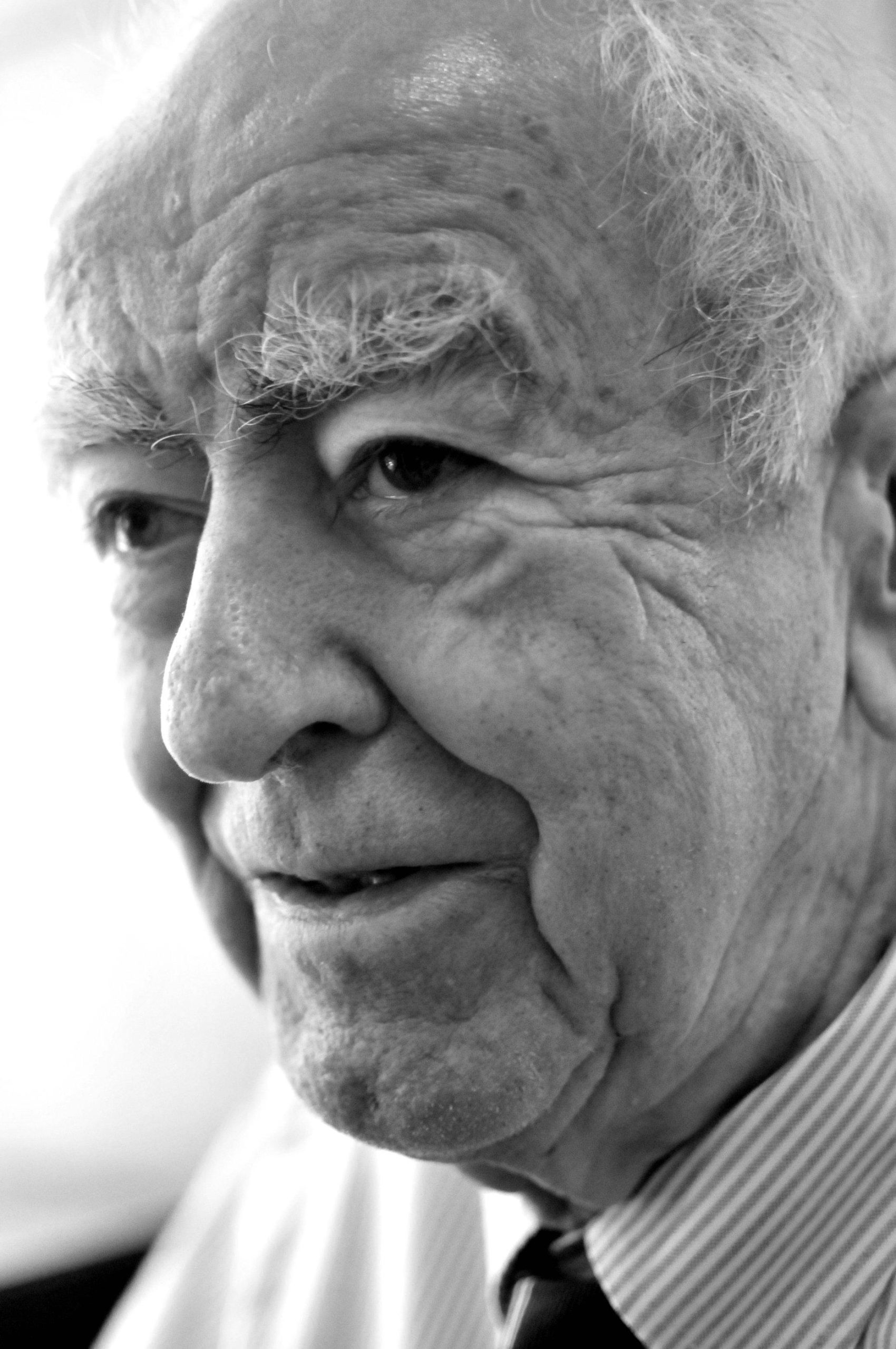 The impact of positive affirmations on fitness success