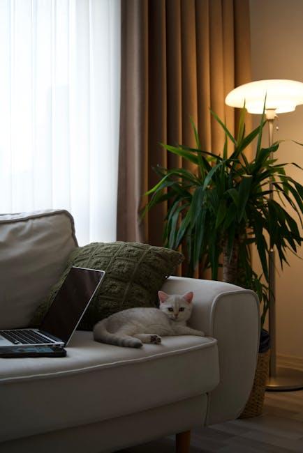 Creating a Stretch-Friendly Workspace for Optimal Health