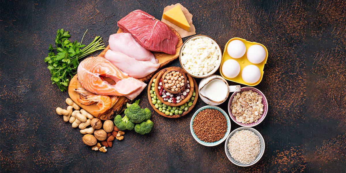 Harnessing the Power of Protein and Fiber
