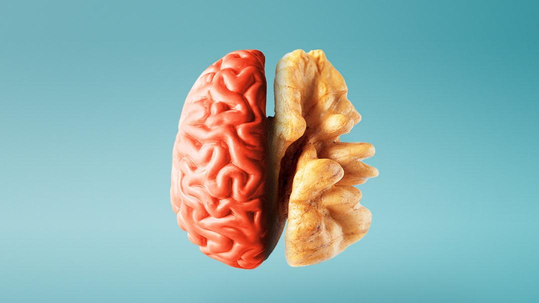 Science-Backed Foods for Lifelong Cognitive Health