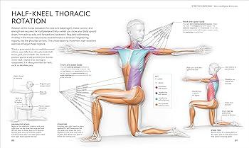 The Science Behind Stretching and Its Impact on Posture