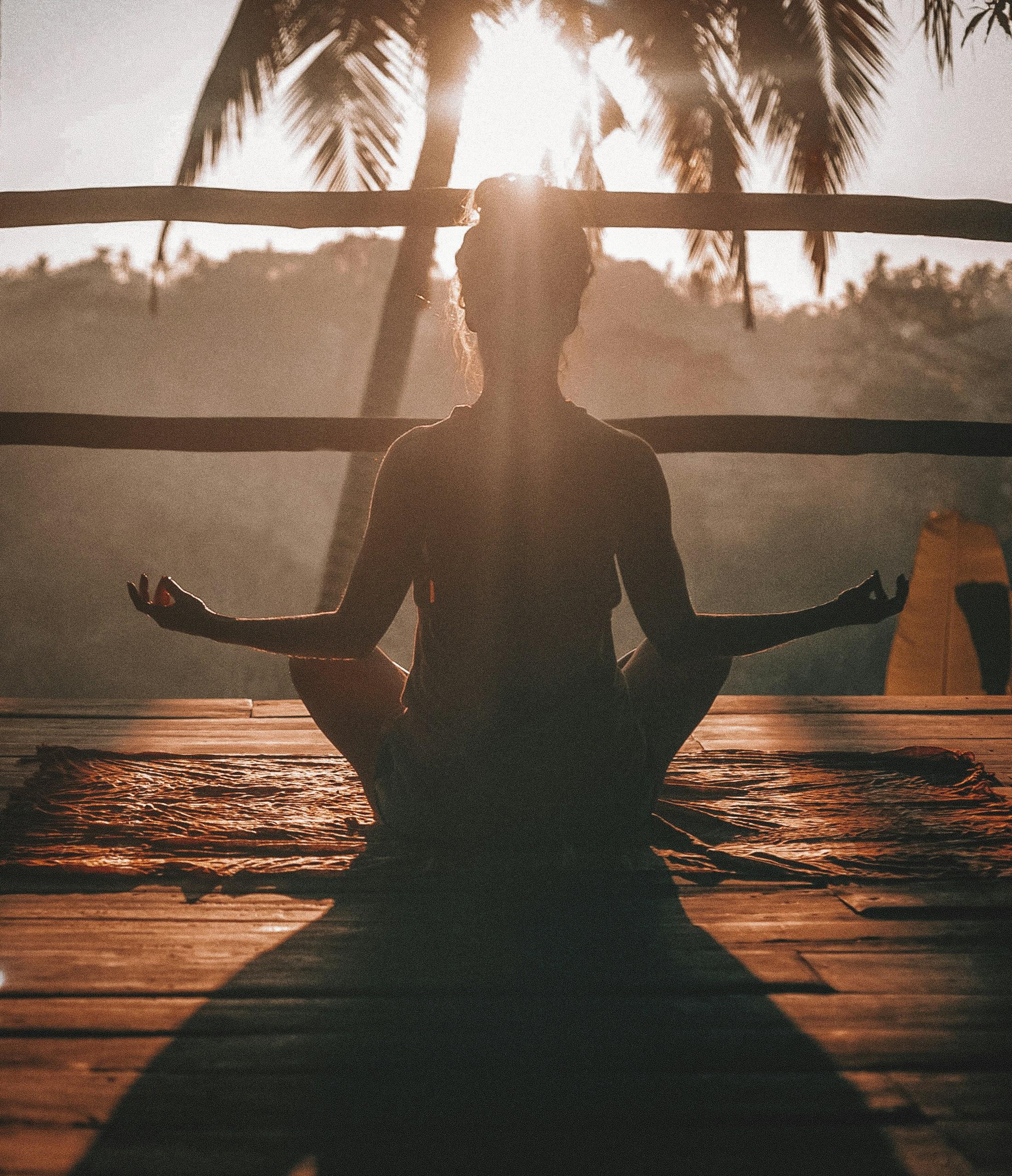Balancing Self-Discipline and Motivation for Optimal Performance