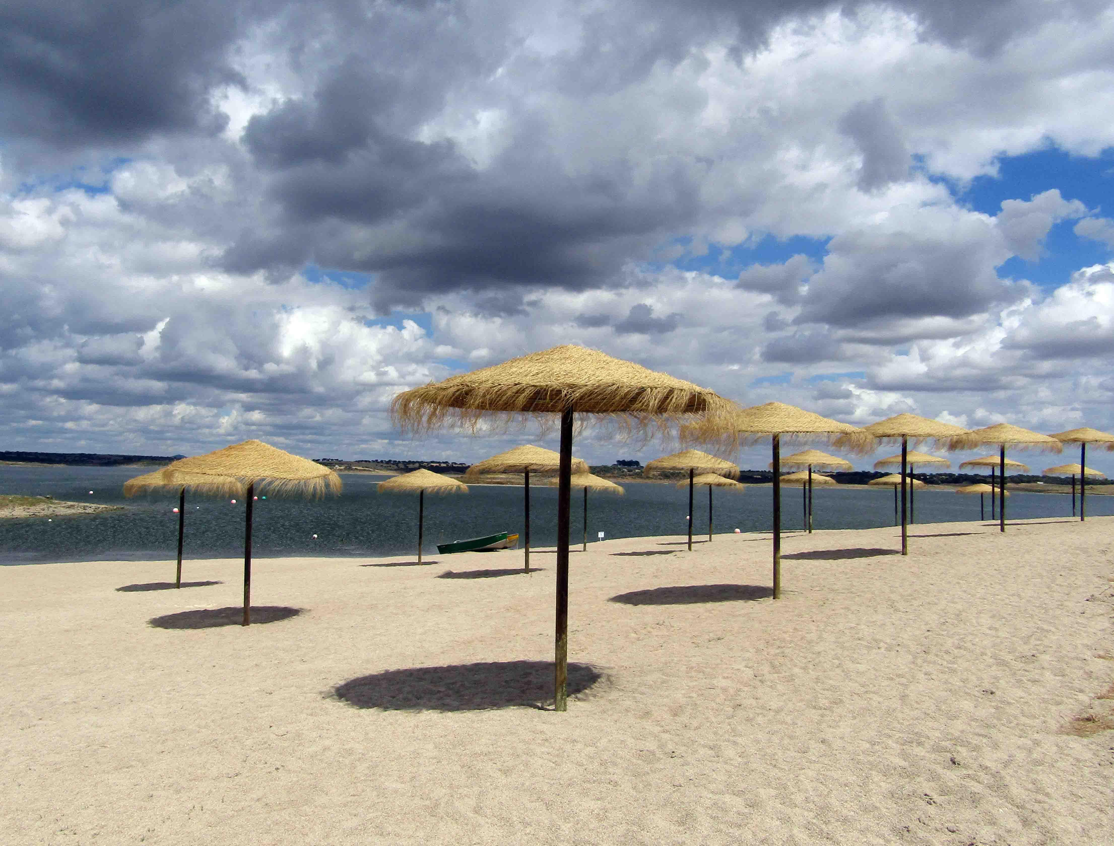 The impact of digital detoxes on productivity and wellness 1 From Screen Fatigue to Focus How Time Away Boosts Productivity