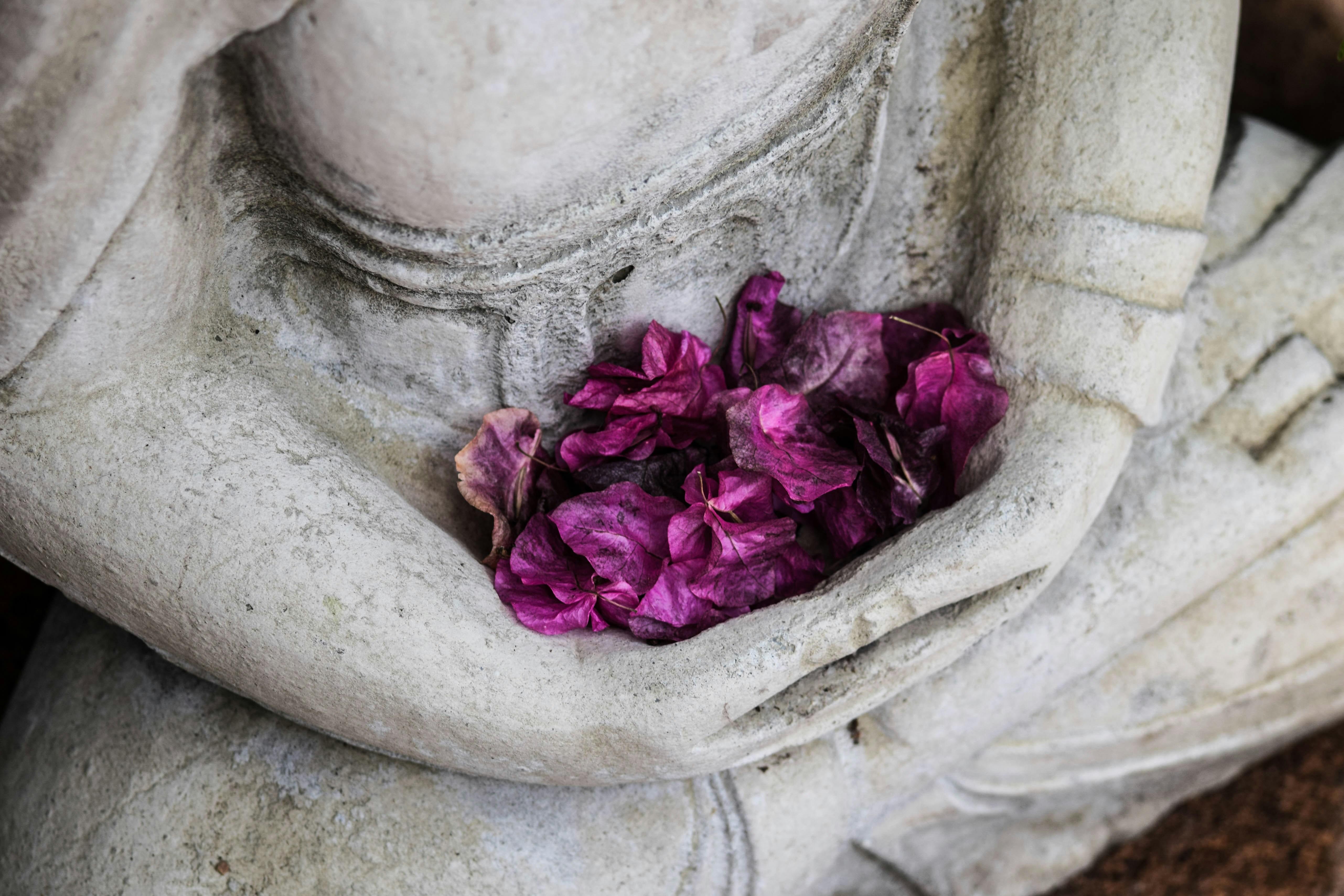 Tailored Tranquility: Personalized Meditation Practices for the Busy Body