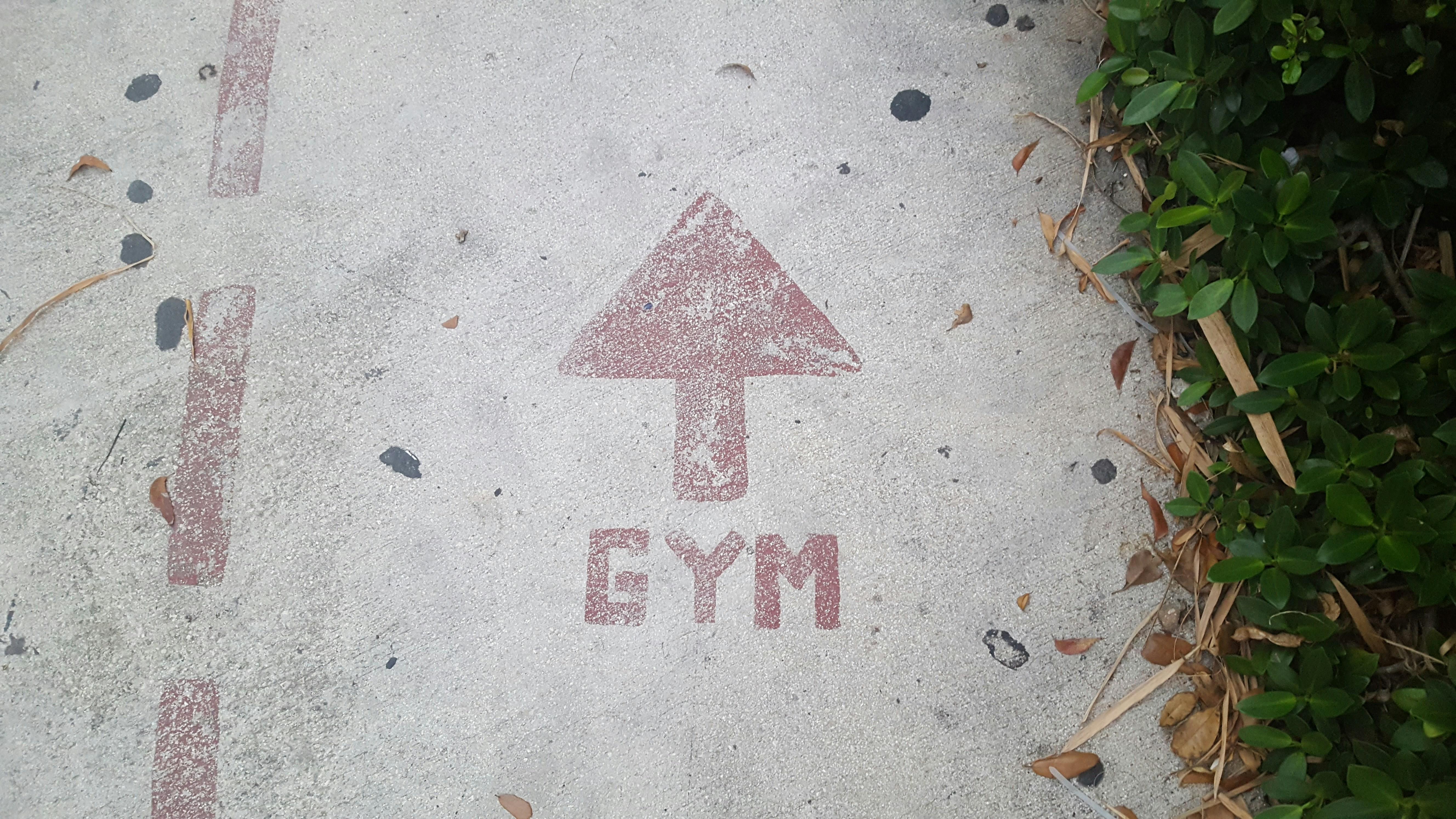 Understanding Gym Culture: Breaking Down Barriers for Newcomers