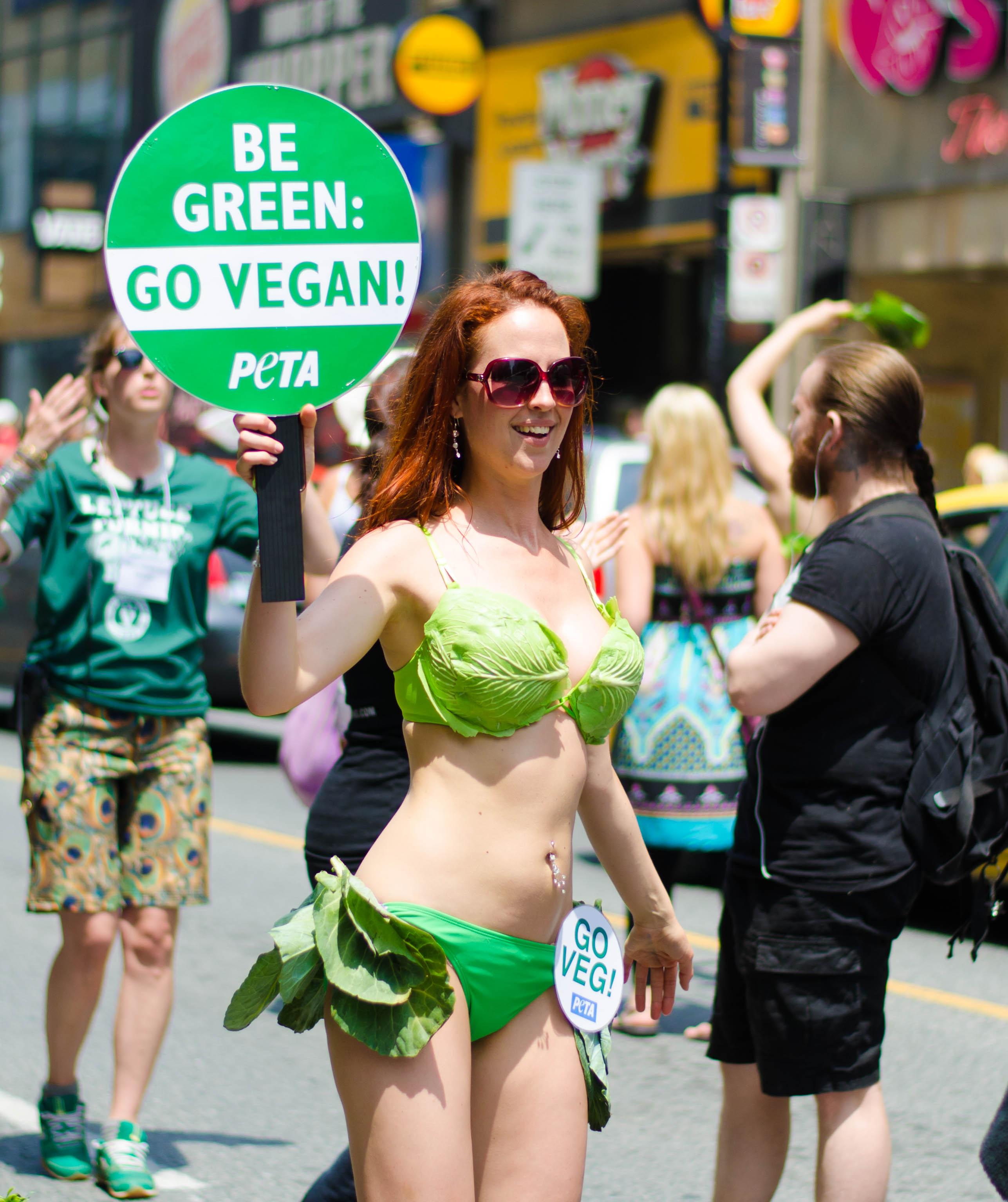 Tailored Supplementation Strategies for Vegan Success