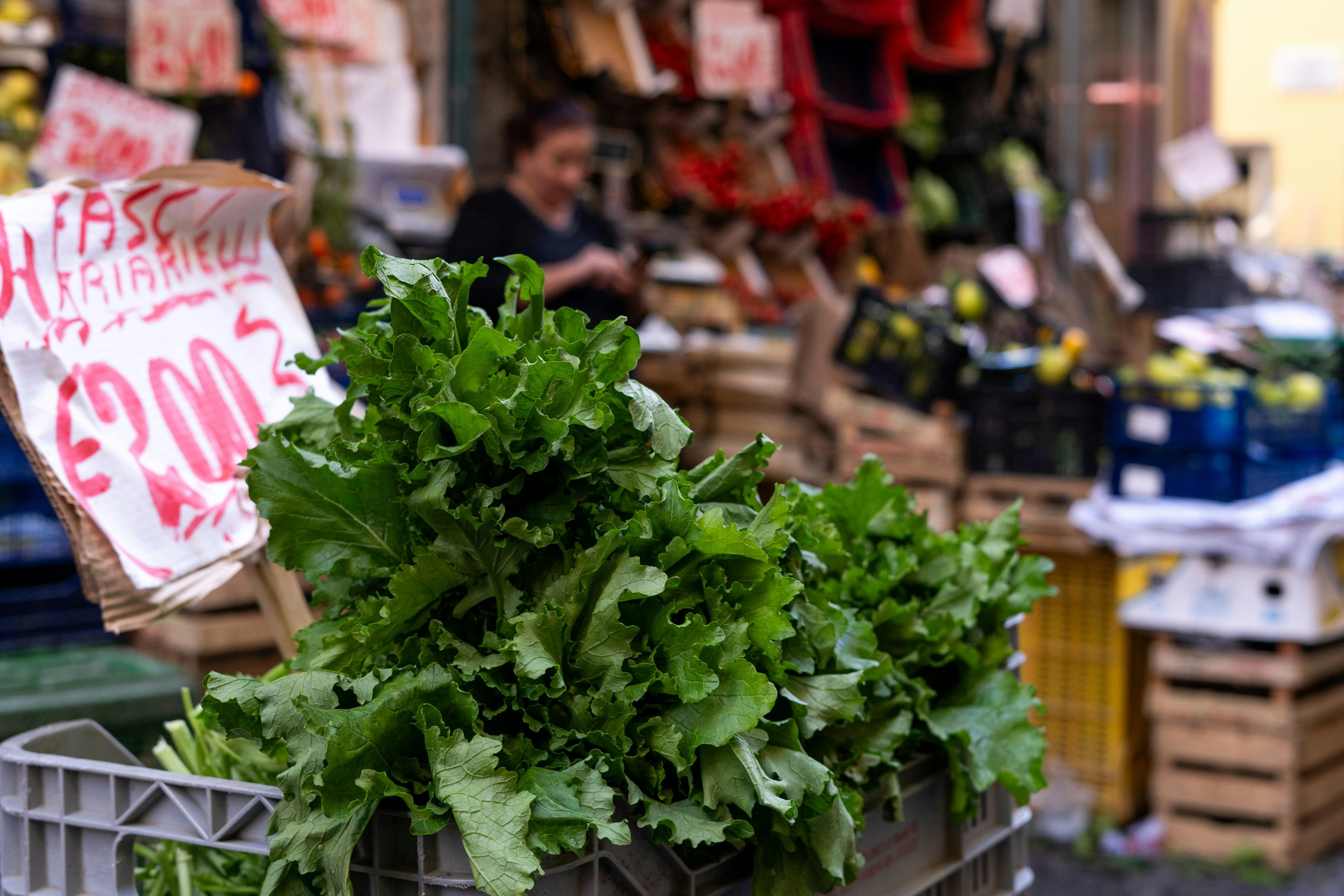 Navigating the Greenwash: Unmasking Sustainability Claims in Popular Diets