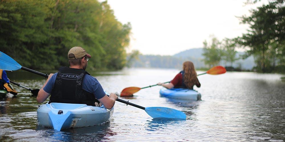 Understanding the Limitations of Nature as a Therapeutic Tool