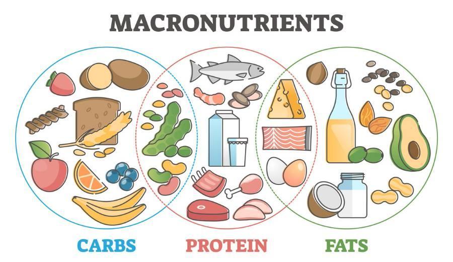 Exploring Long-Term Health Implications of Carbohydrate Restriction