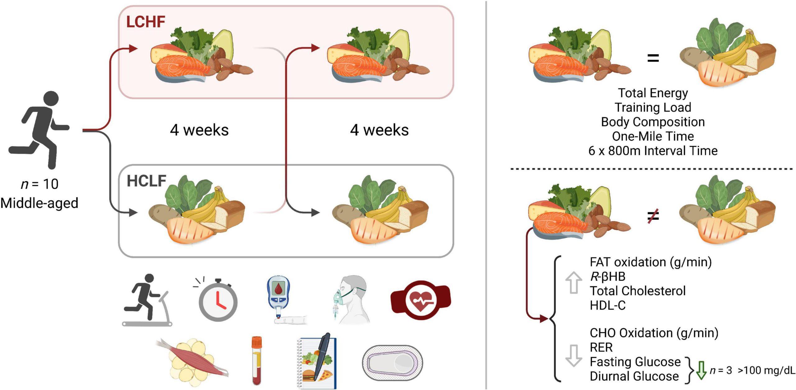 Carbohydrates: The Essential‌ Energy Source for Athletes