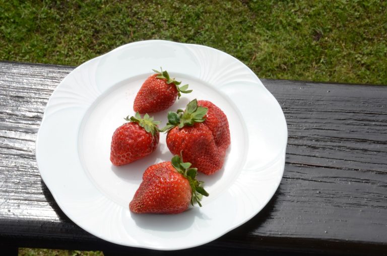Powering Up: Antioxidants and Athletic Performance